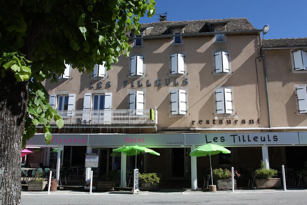 Hôtel Les Tilleuls de Pareloup à Salles-Curan Exterior foto